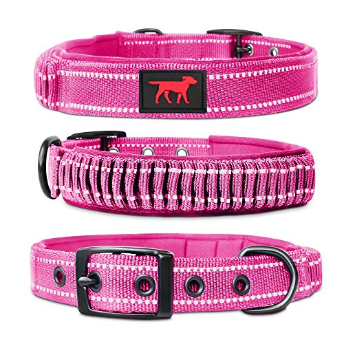 Tuff Pupper Heavy Duty Dog Collar with Handle | Ballistic Nylon Heavy