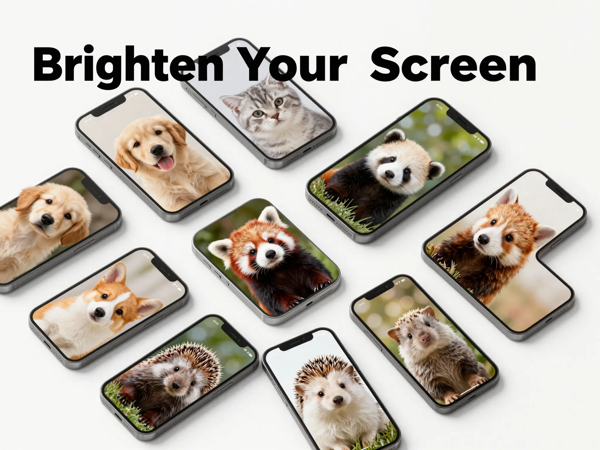 Eight cute animal phone wallpaper collection flat lay