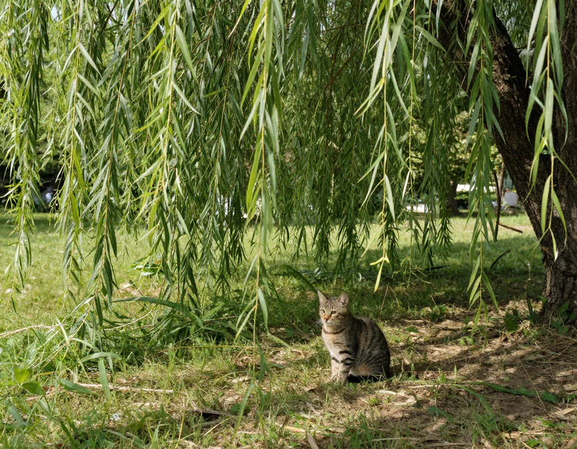 A calm brown tabby kitten sitting beneath a weeping willow tree