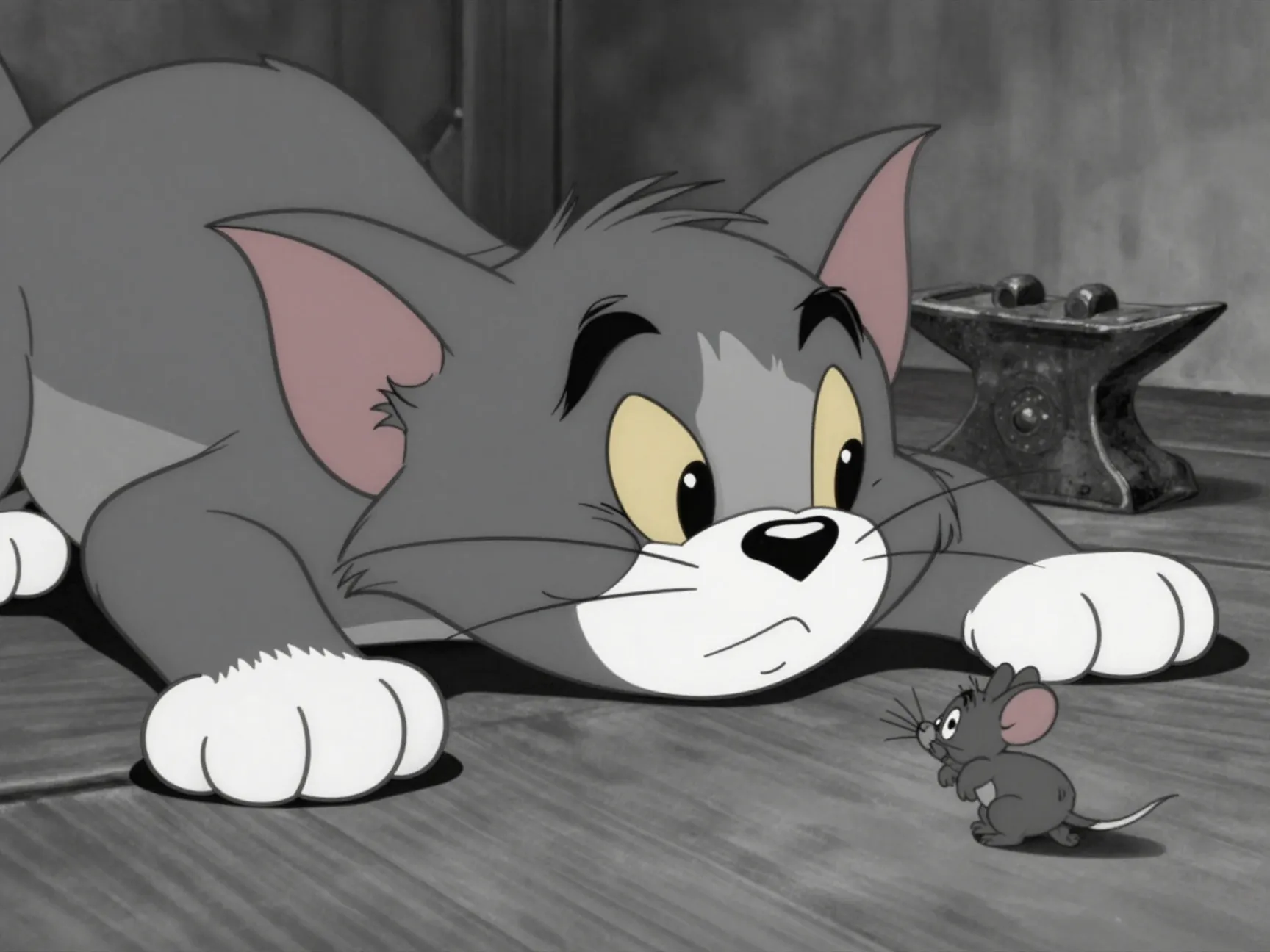 Tom cat flattened after failed chase with jerry