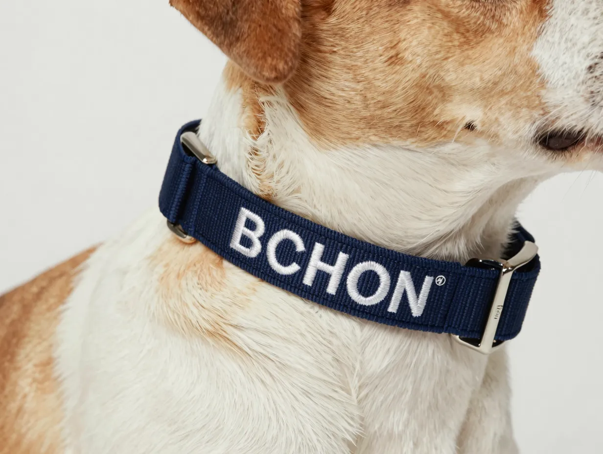 Personalized embroidered name collar on mixed breed dog