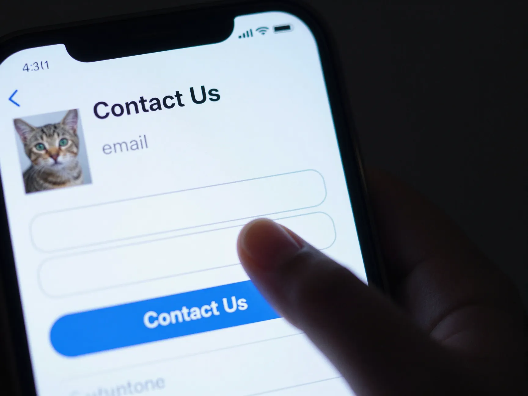 Kitten listing with missing physical address and vague contact information