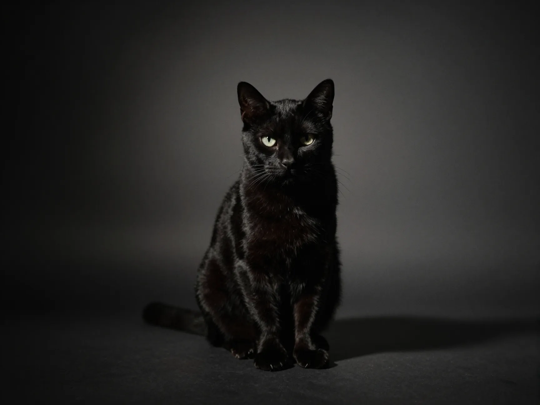 Curated hd selections from a 90 plus image gallery