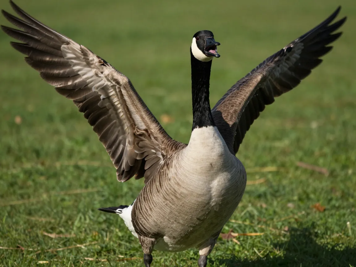 The goose mid honk with full cartoon drama
