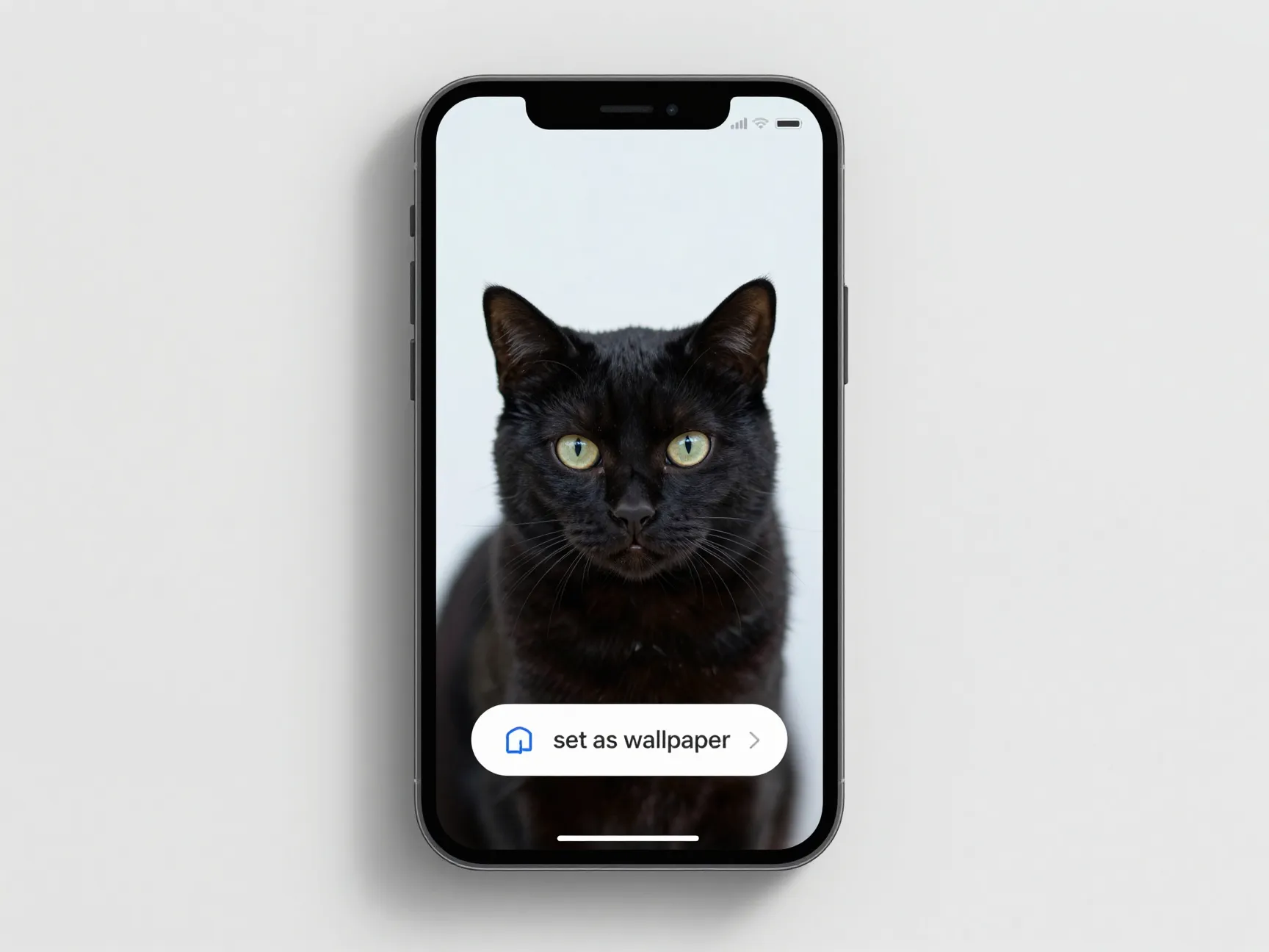 The 190 plus background set on a personalization platform