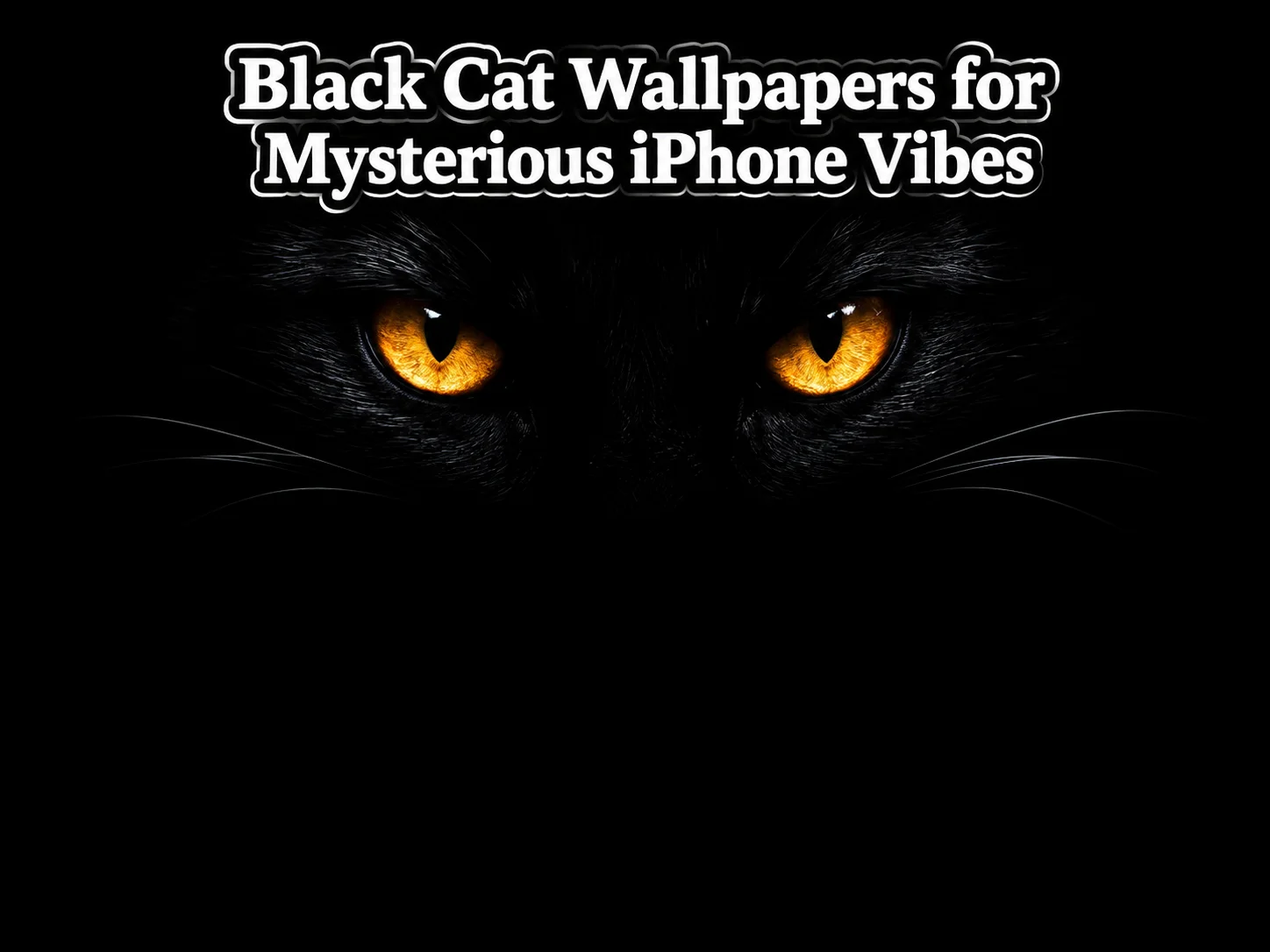Black cat wallpapers for mysterious iphone vibes