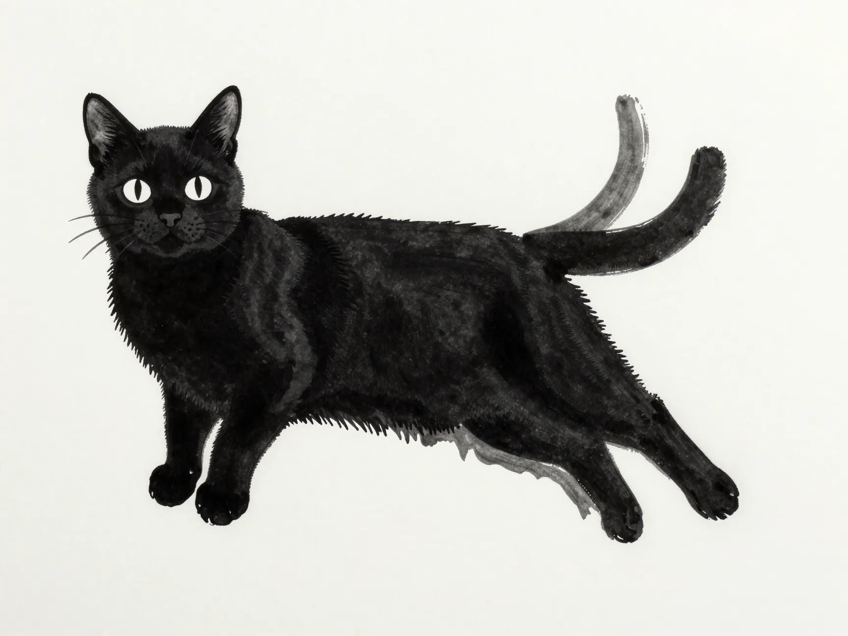 The spooky floating black cat ghost