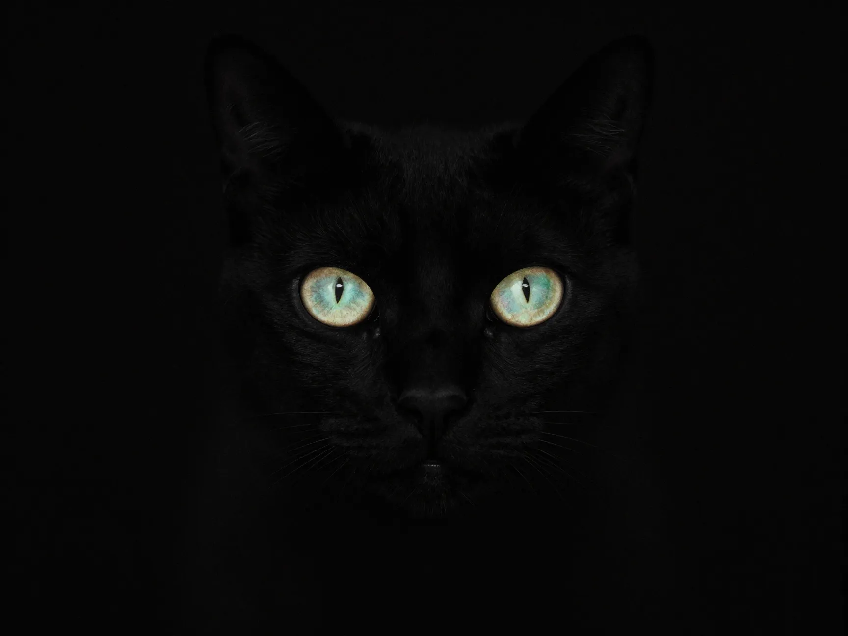 5 zedge amoled black cat eyes wallpaper