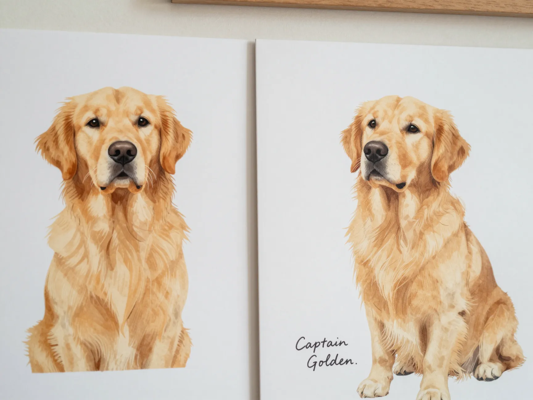 Captain golden art print and similar hand drawn pieces from drawing the dog