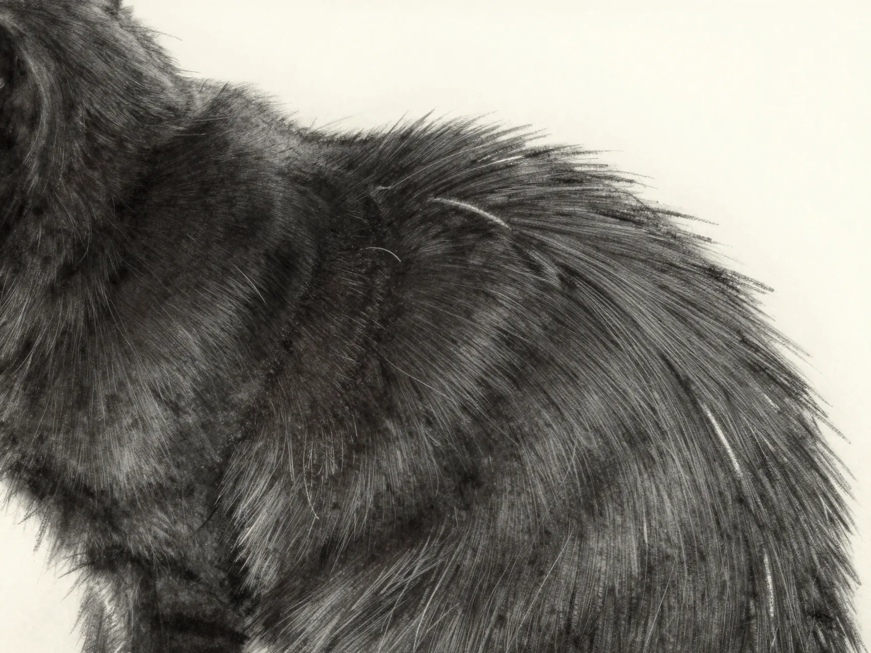 Suggest fur with economy not individual hairs