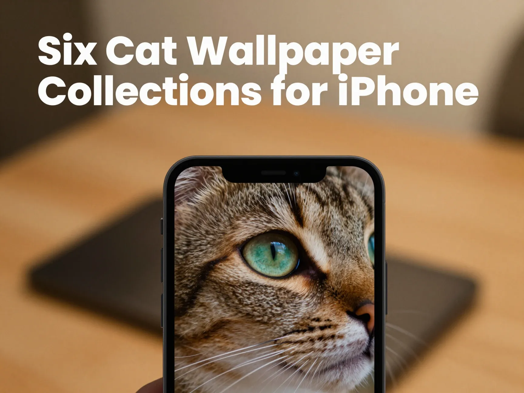Six cat wallpaper collections for iphone