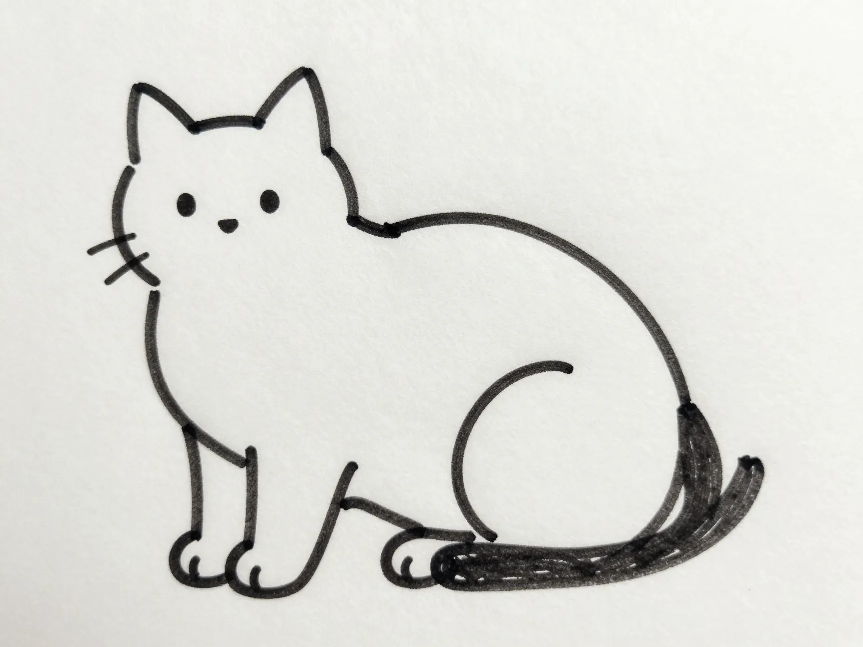2 minimalist line cat