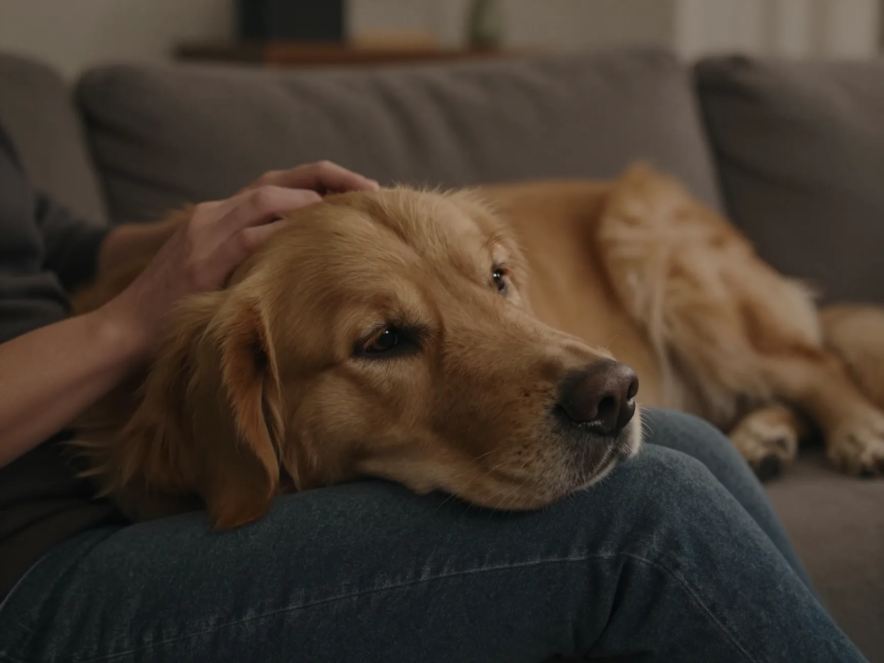 Deep emotional attunement and empathy