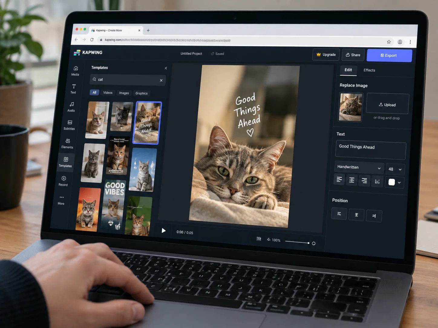 Kapwings template based cat wallpaper editor