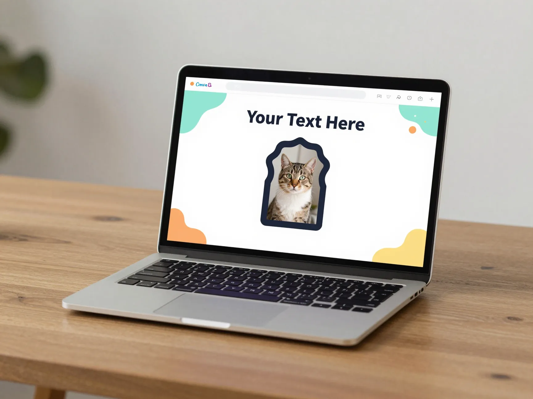 5 canvas customizable cat desktop templates