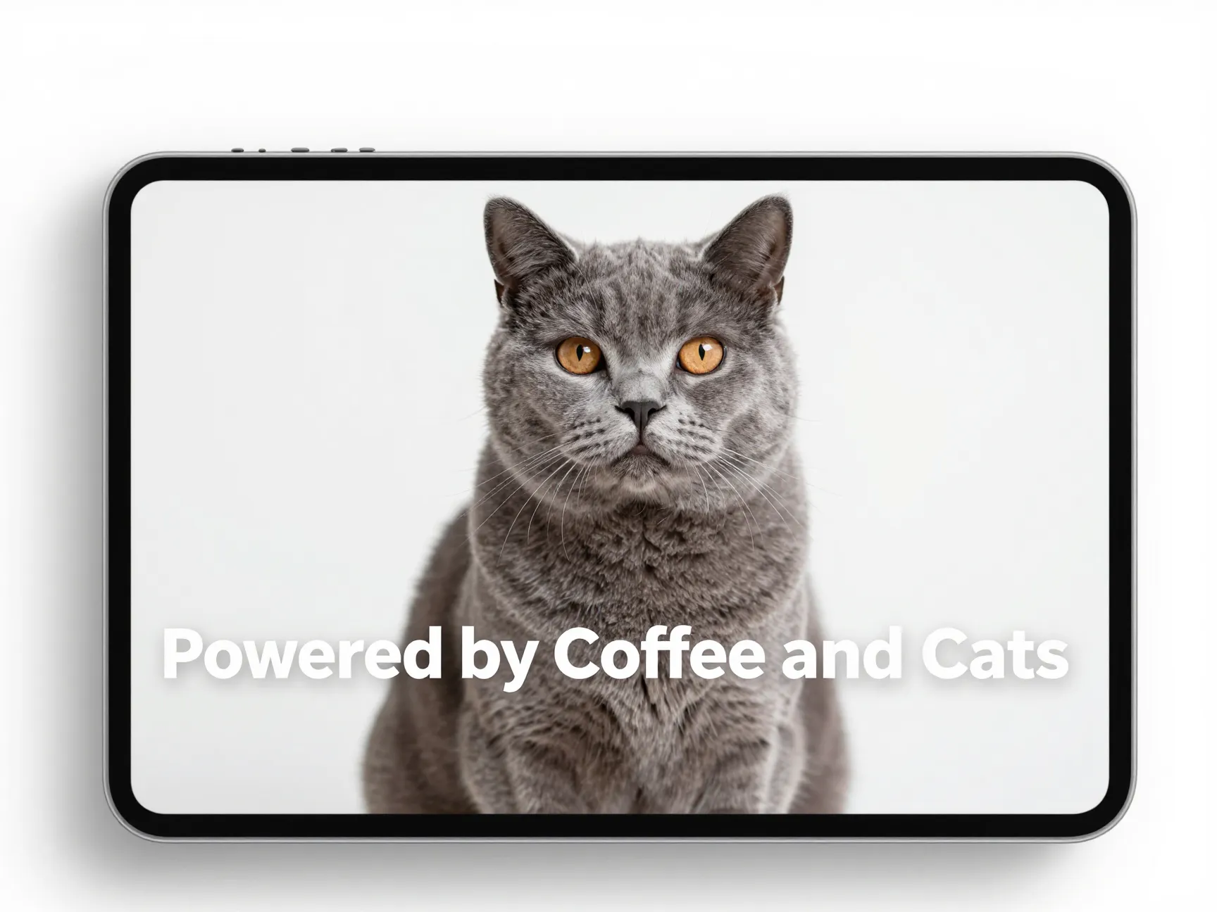 Quote cats with bold captions