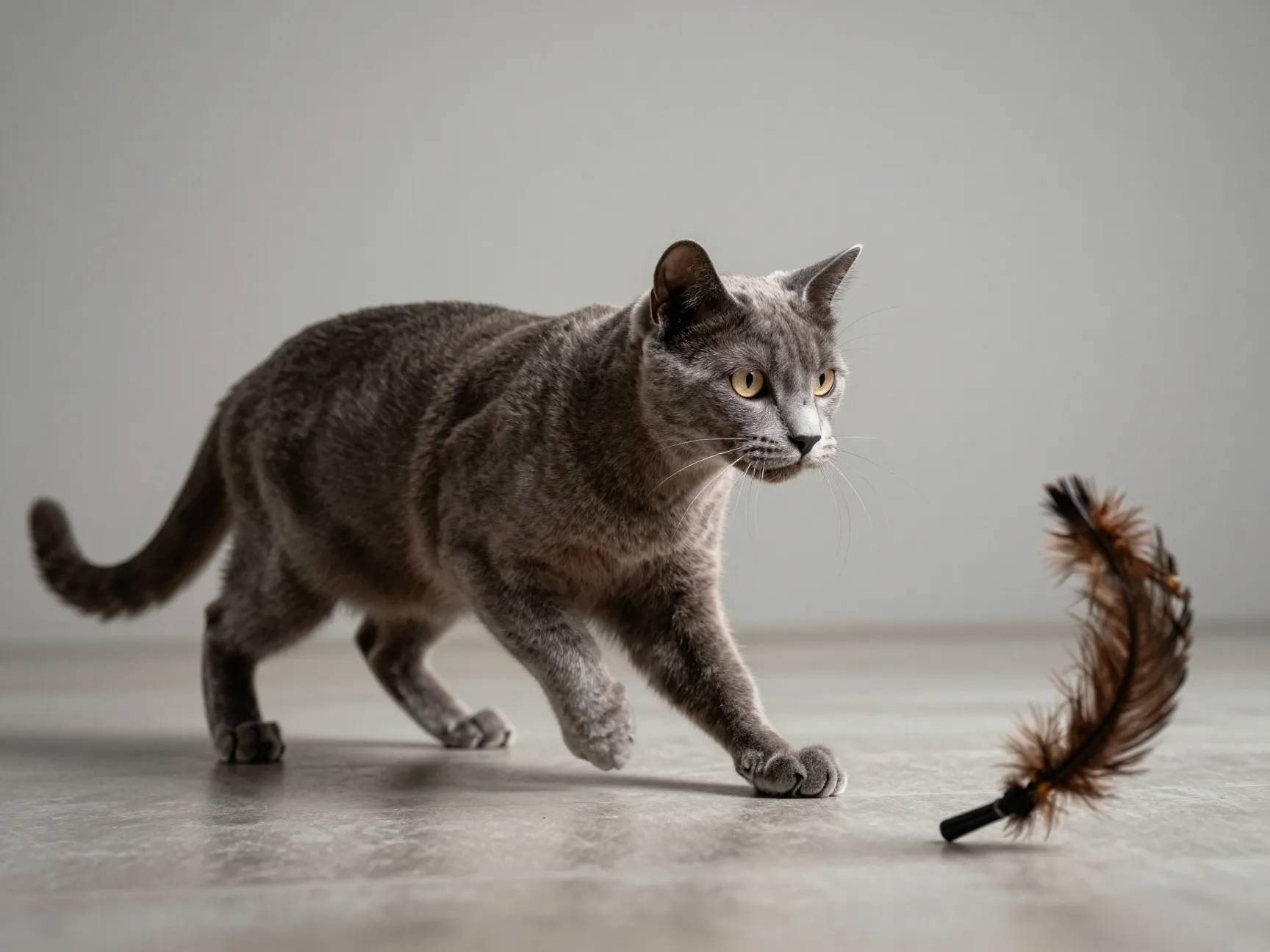 6 playful and active in a controlled thoughtful way