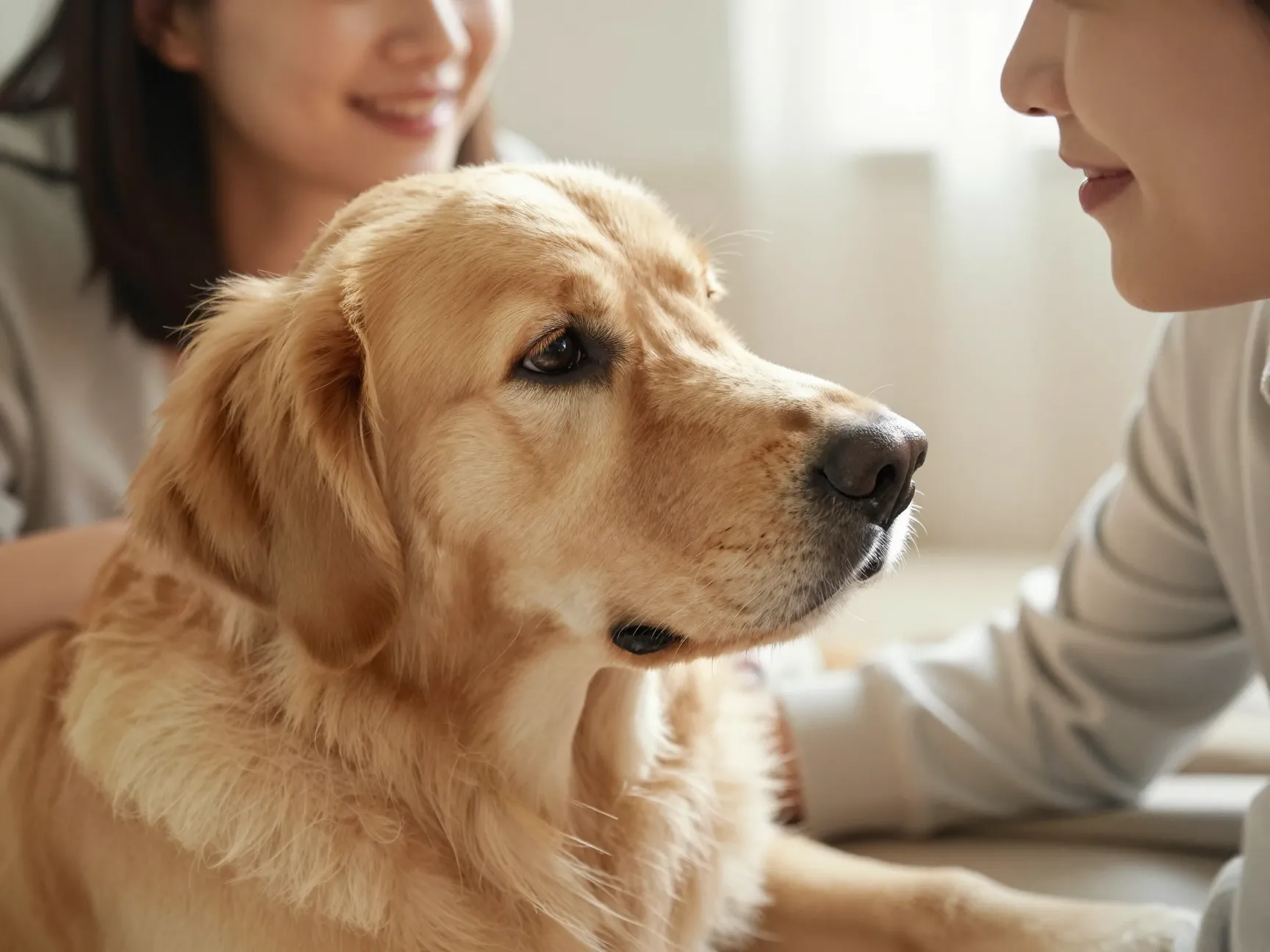 Oxytocin and eye contact create a feedback loop