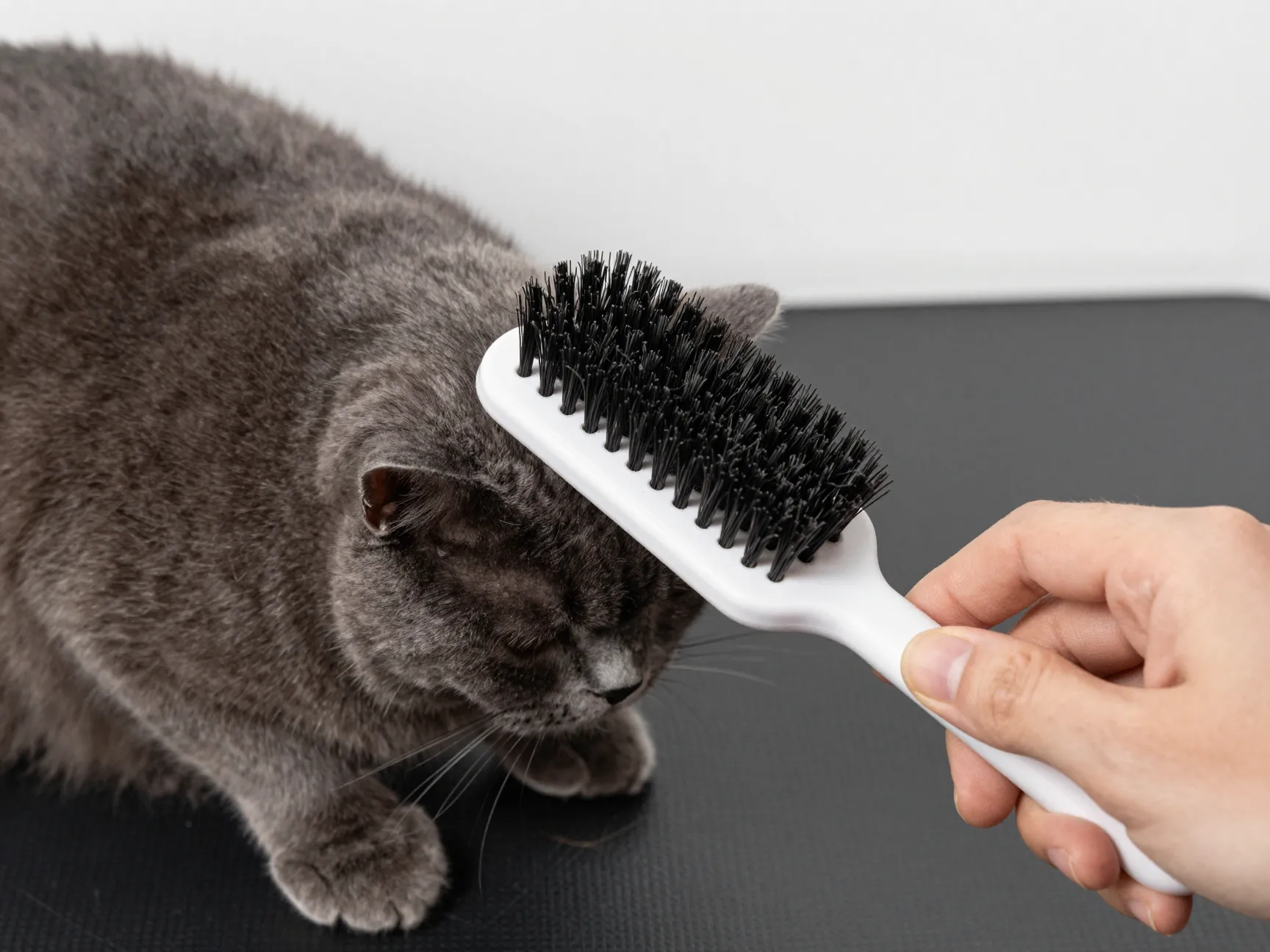 Low maintenance grooming that fits busy schedules