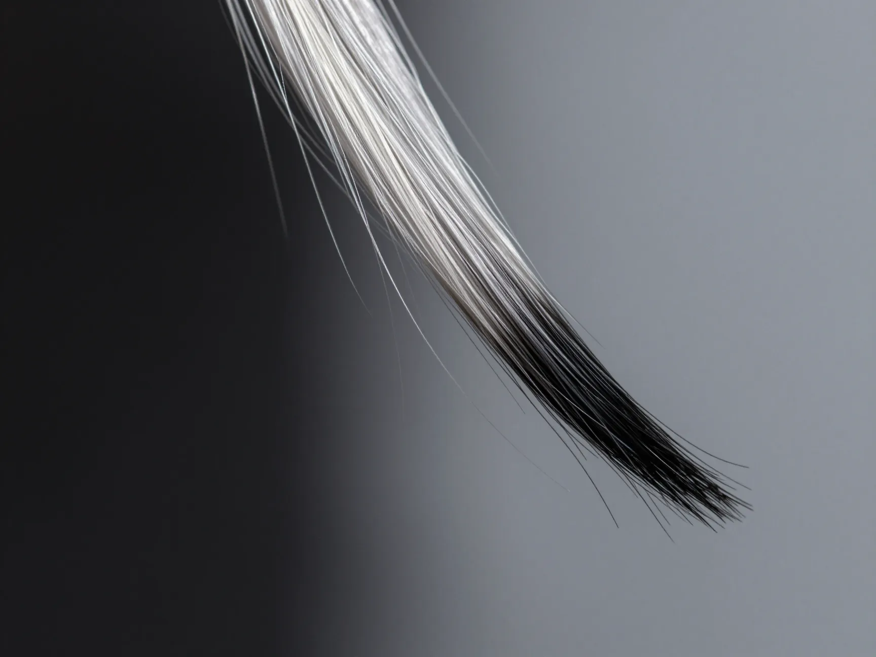 The frosted silver ground color