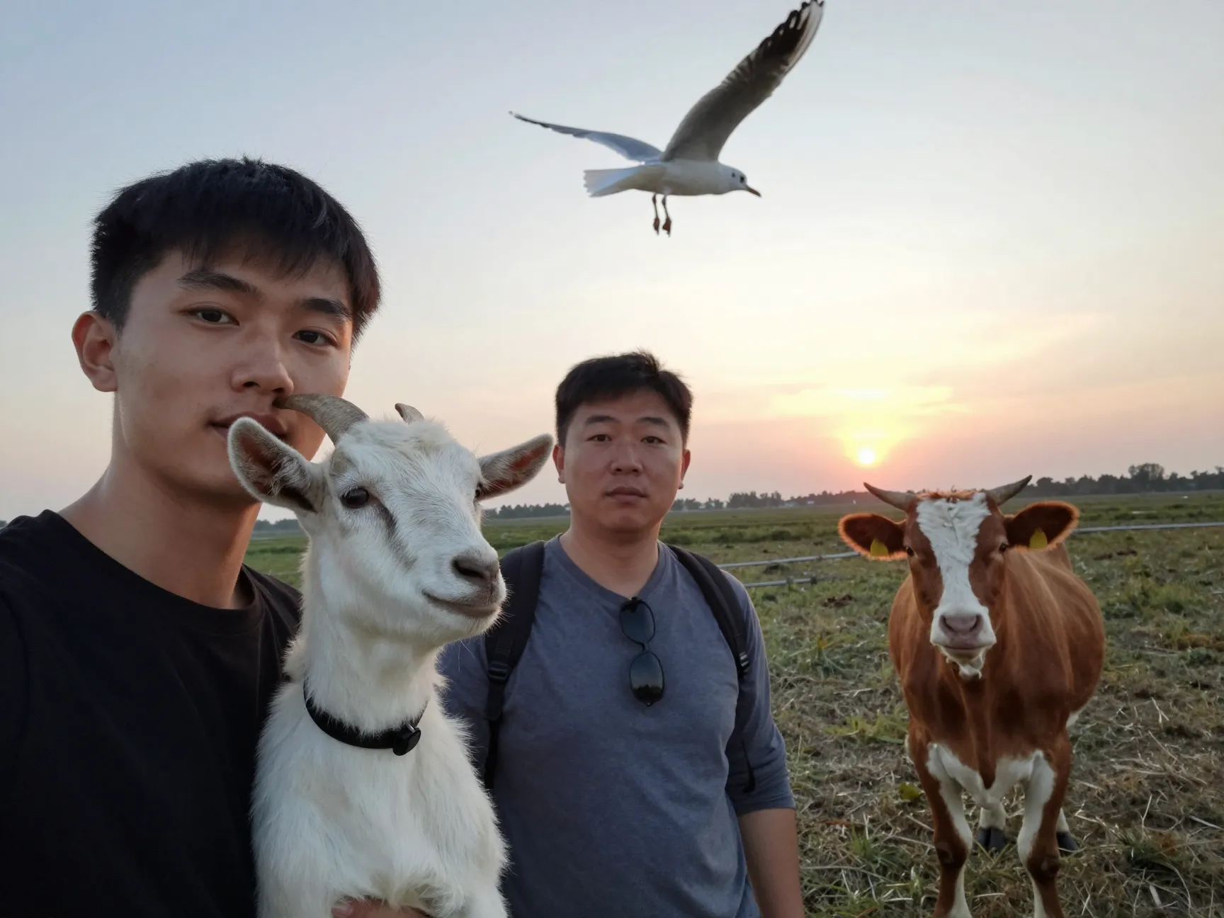 The unexpected photobomb