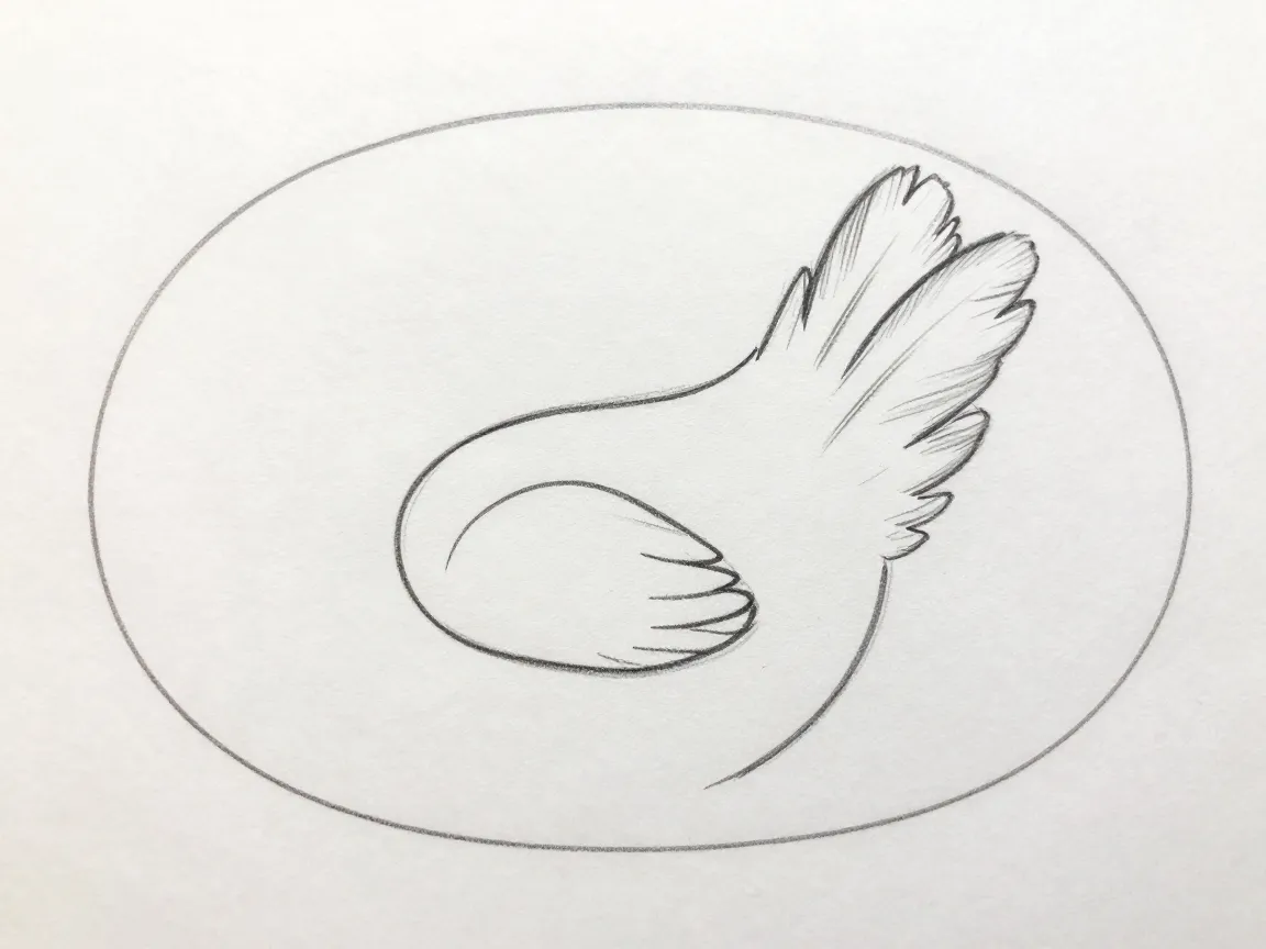 5 draw the wing and tail feathers
