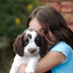 How to Clip Your Puppy’s Nails