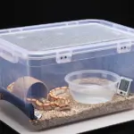 6 Budget-Friendly Ball Python DIY Enclosure Ideas That Actually Work