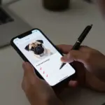 8 Red Flags to Avoid When Finding Pug Puppies for Sale Near Me