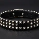 8 Luxurious Fancy Collars for Dogs That Scream Style