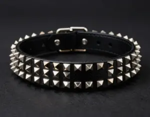 Read more about the article 8 Luxurious Fancy Collars for Dogs That Scream Style