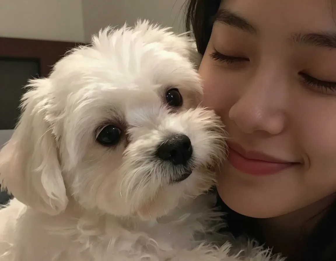 Read more about the article 7 Charming Reasons The Maltese Dog Breed Makes The Perfect Lap Dog