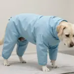 6 Essential Dog Surgical Recovery Suits for a Smooth Healing Process
