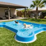8 Resort-Style Amenities at a Pet Paradise Resort You Have to See
