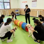 8 Crucial First Steps to Launch Your Dog Day Care Business