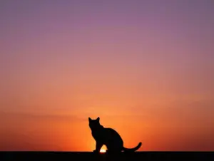 Read more about the article 9 Vibrant Orange Cat Wallpaper Pics for a Cozy Vibe