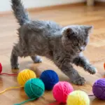 9 Cutest Kittens Wallpaper Images for Ultimate Screen Joy