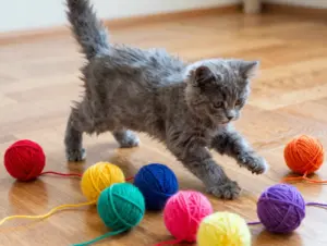 Read more about the article 9 Cutest Kittens Wallpaper Images for Ultimate Screen Joy