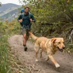 9 Surprising Facts About the Stunning Fox Red English Labrador Retriever