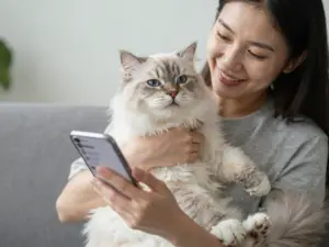 Read more about the article 8 Insider Tips for Finding Healthy Siberian Cats for Sale