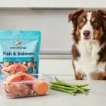8 Top-Rated Australian Shepherd Dog Food Formulas for Energy & Coat