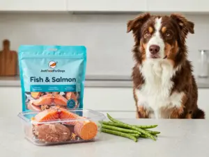 Read more about the article 8 Top-Rated Australian Shepherd Dog Food Formulas for Energy & Coat