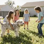 8 Husky German Shepherd Mix Dogs That Show Off Their Best Traits