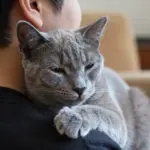 Key Russian Blue Cat Personality Traits Every Owner Should Know
