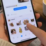 Funny Cat Stickers That Will Make Your Texts and Chats Hilarious