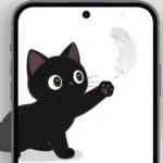 Black Cat Lockscreen Wallpapers For A Touch Of Mystery
