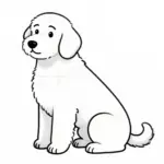 Golden Doodle Drawing Tutorials For Aspiring Pet Portrait Artists