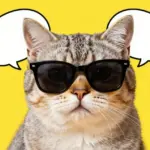 Aesthetic Cat Profile Picture Ideas For Every Mood