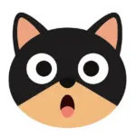Funny Cat Meme Icons For A Hilarious Profile Picture