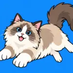 Ragdoll Cat Wallpaper Styles That Celebrate Their Floppy Charm